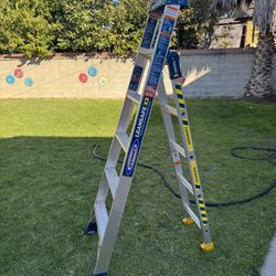 WERNER Leansafe X3 6ft. Ladder