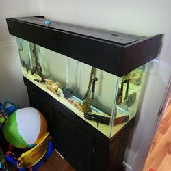 55 Gallon Fish Tank