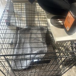 Dog Cage 