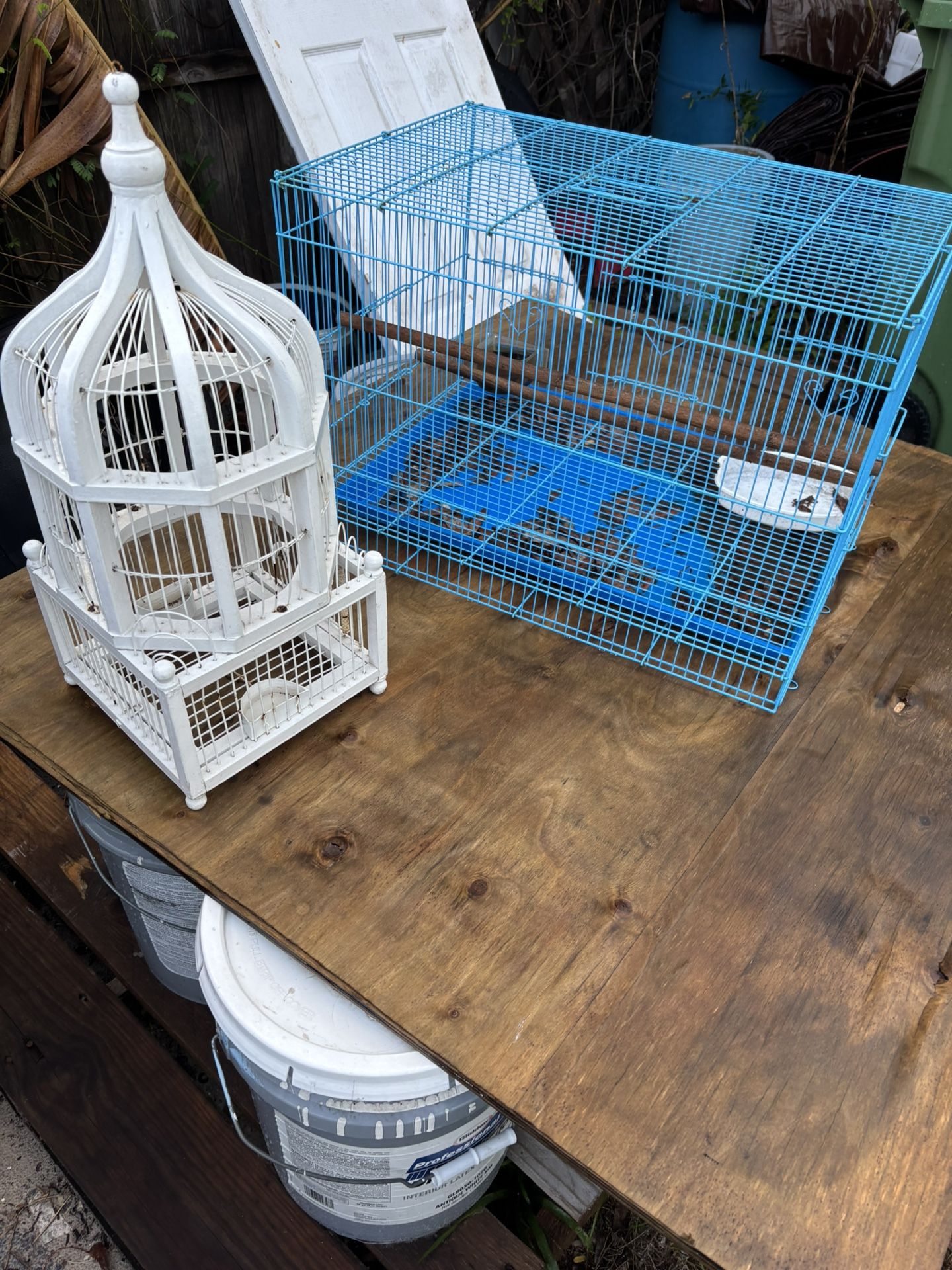 Bird Cages $10 Each