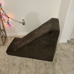 pet ramp 