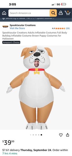 Adult inflatable costume