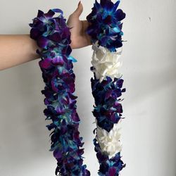Graduation Leis 