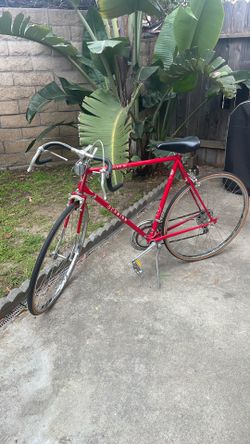 Schwinn traveler 2