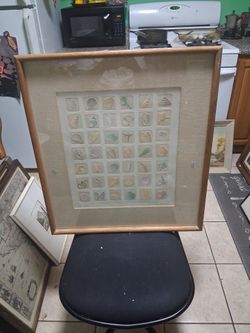 16x18 Shell and Marine Life