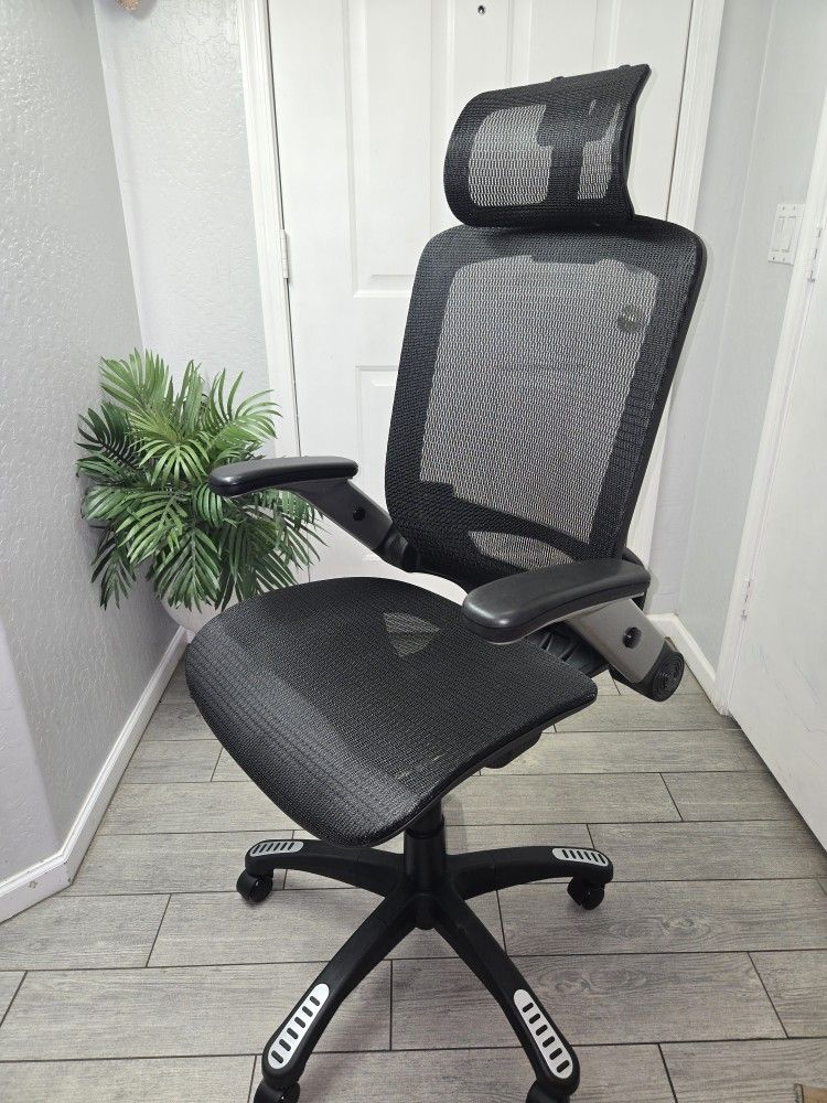 GABRYLLY Ergonomic Office Chair, High