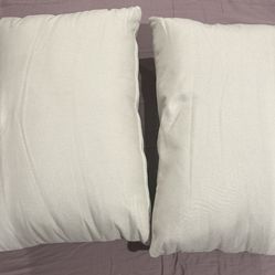 Couch cushions 2pcs FREE