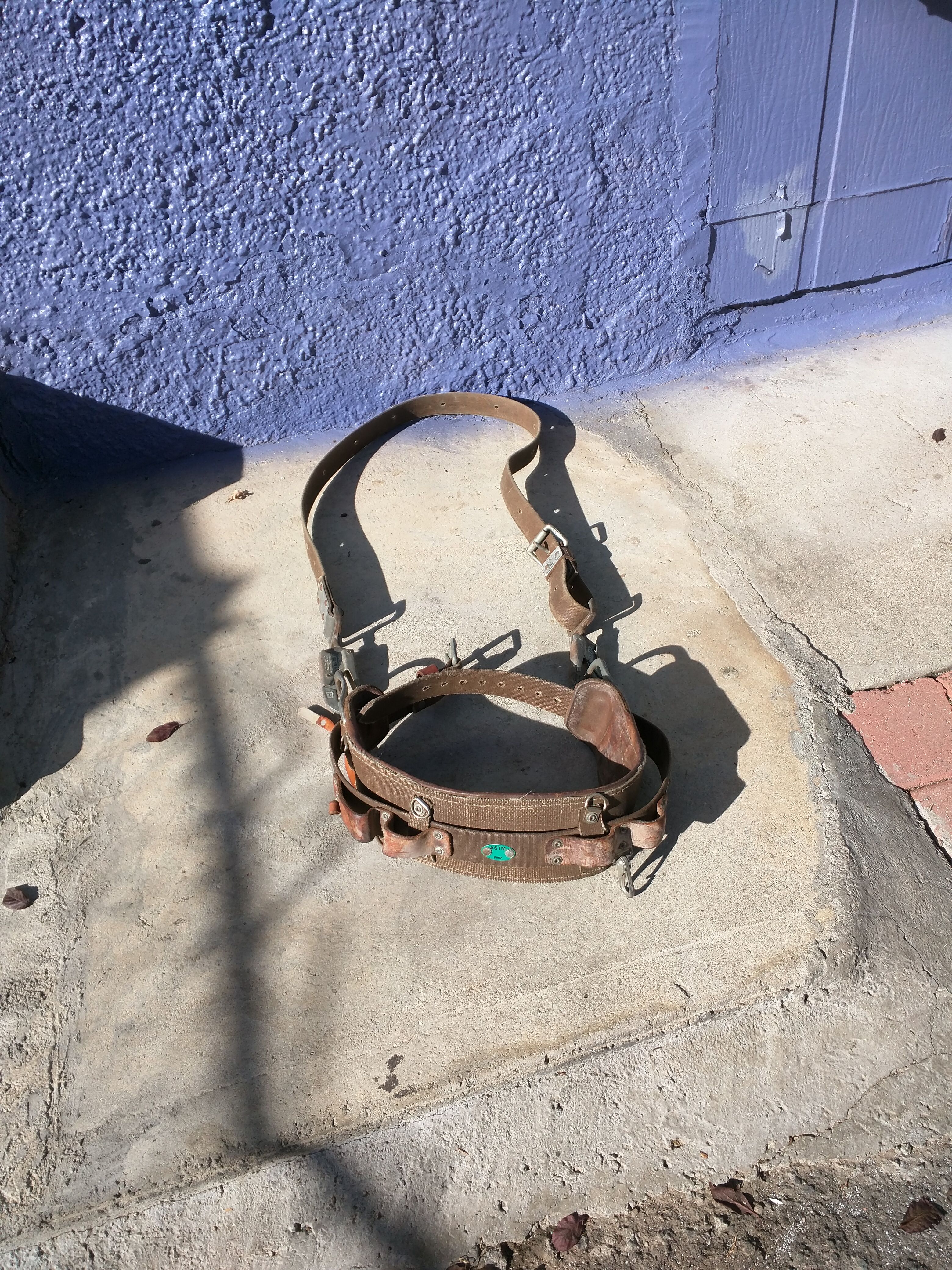 I am selling belt of Apodar palms trees