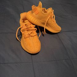 Yeezy 350  Mono Clay 