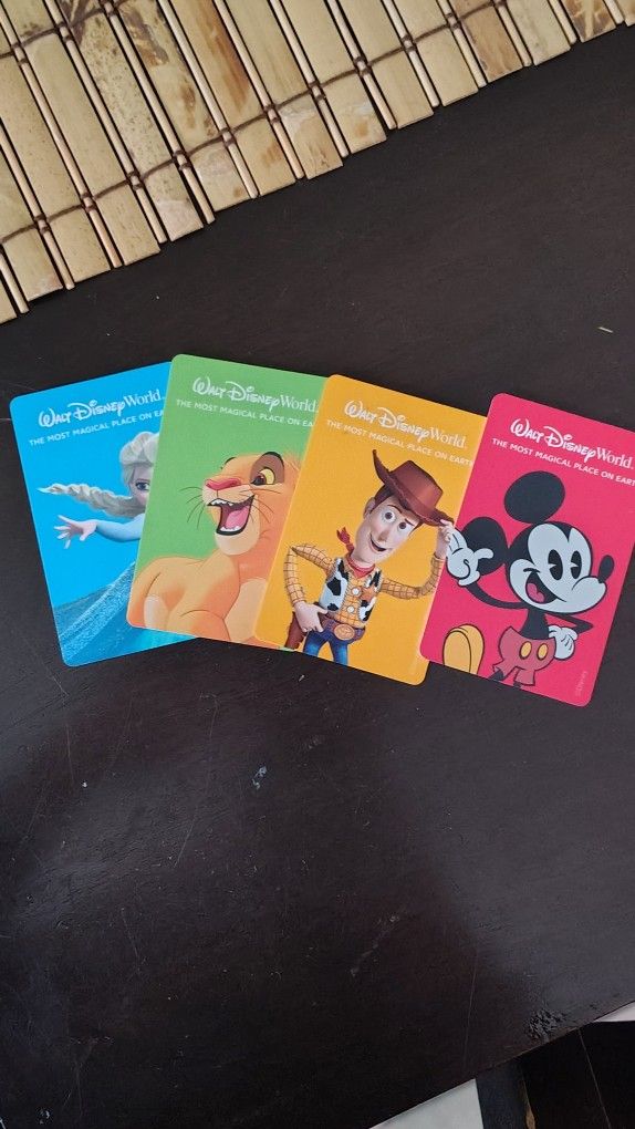 One Day Disney Water Park