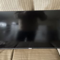 Monitor With No Stand 