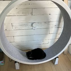 48” Cat Wheel