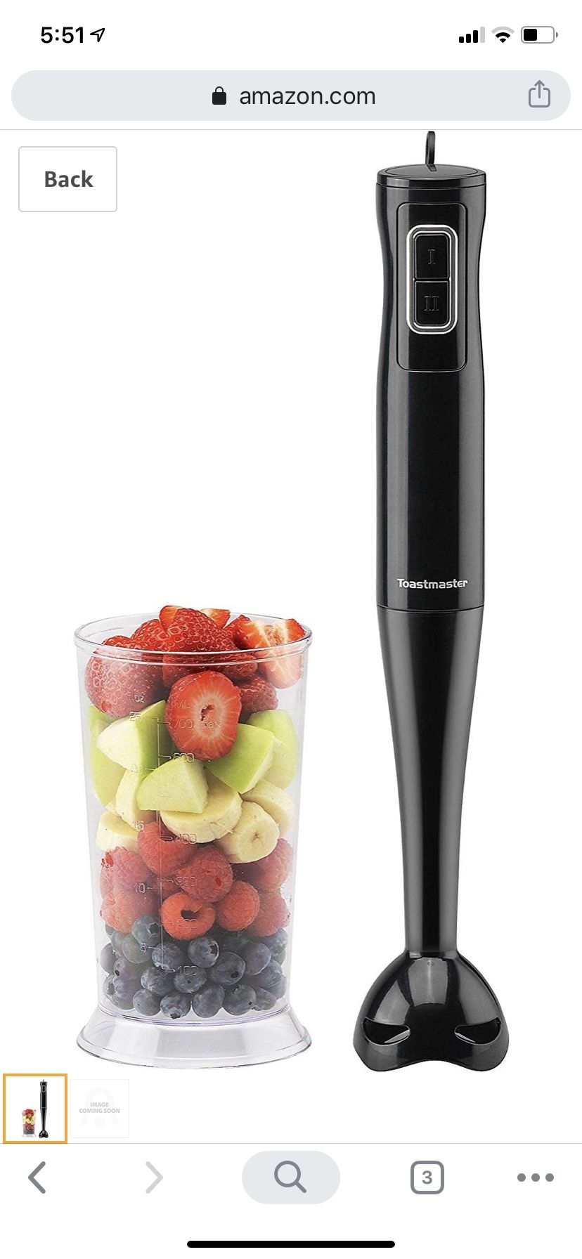 ToastMaster immersion blender