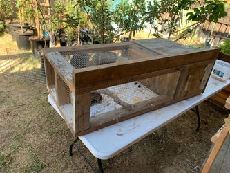 Quail/rabbit cage