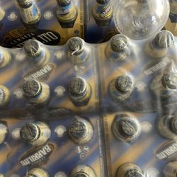 Servers Barrilito 45 X24