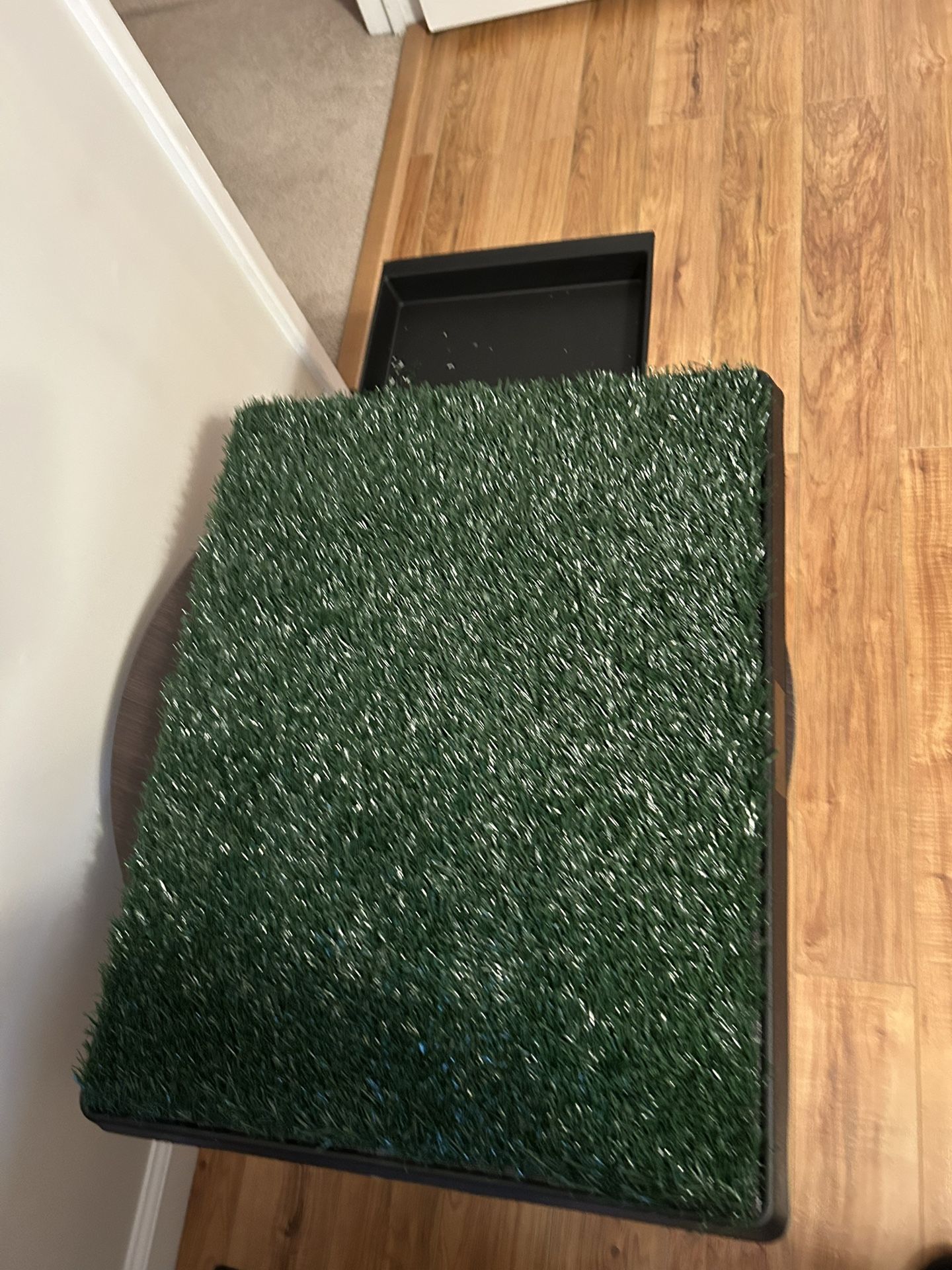 Fake Grass Potty Training