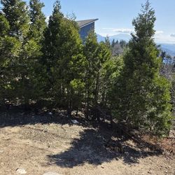 Lote de venta rim forest ca