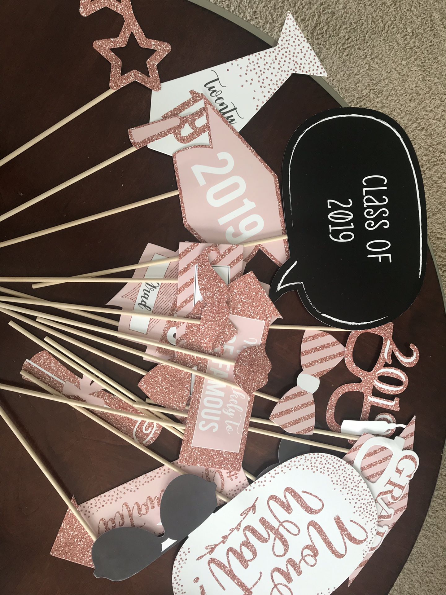 Pink Class of 2019 Photo booth props
