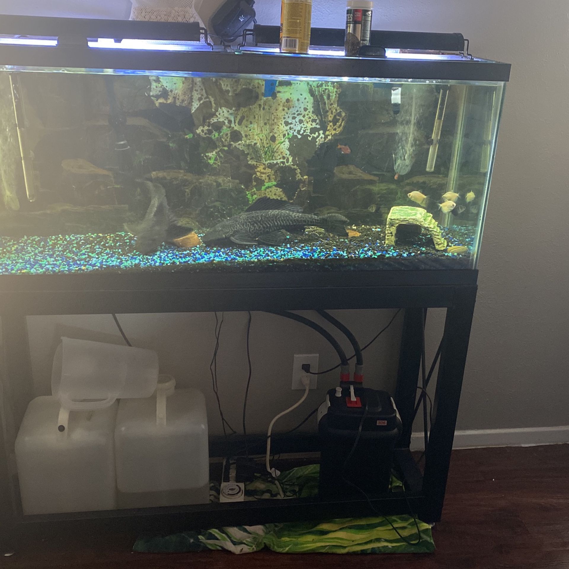 Full Set Up For Sale w/ Fish Included