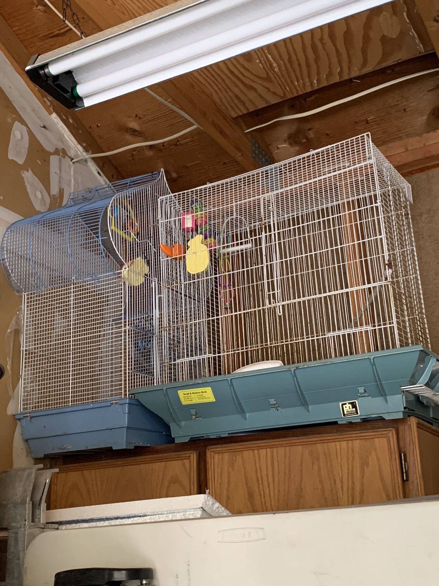 Bird Cages