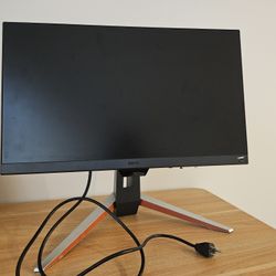 BenQ MOBIUZ EX240 Gaming Monitor