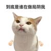 鲍鲍