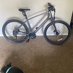 Trek Dual Sport 2