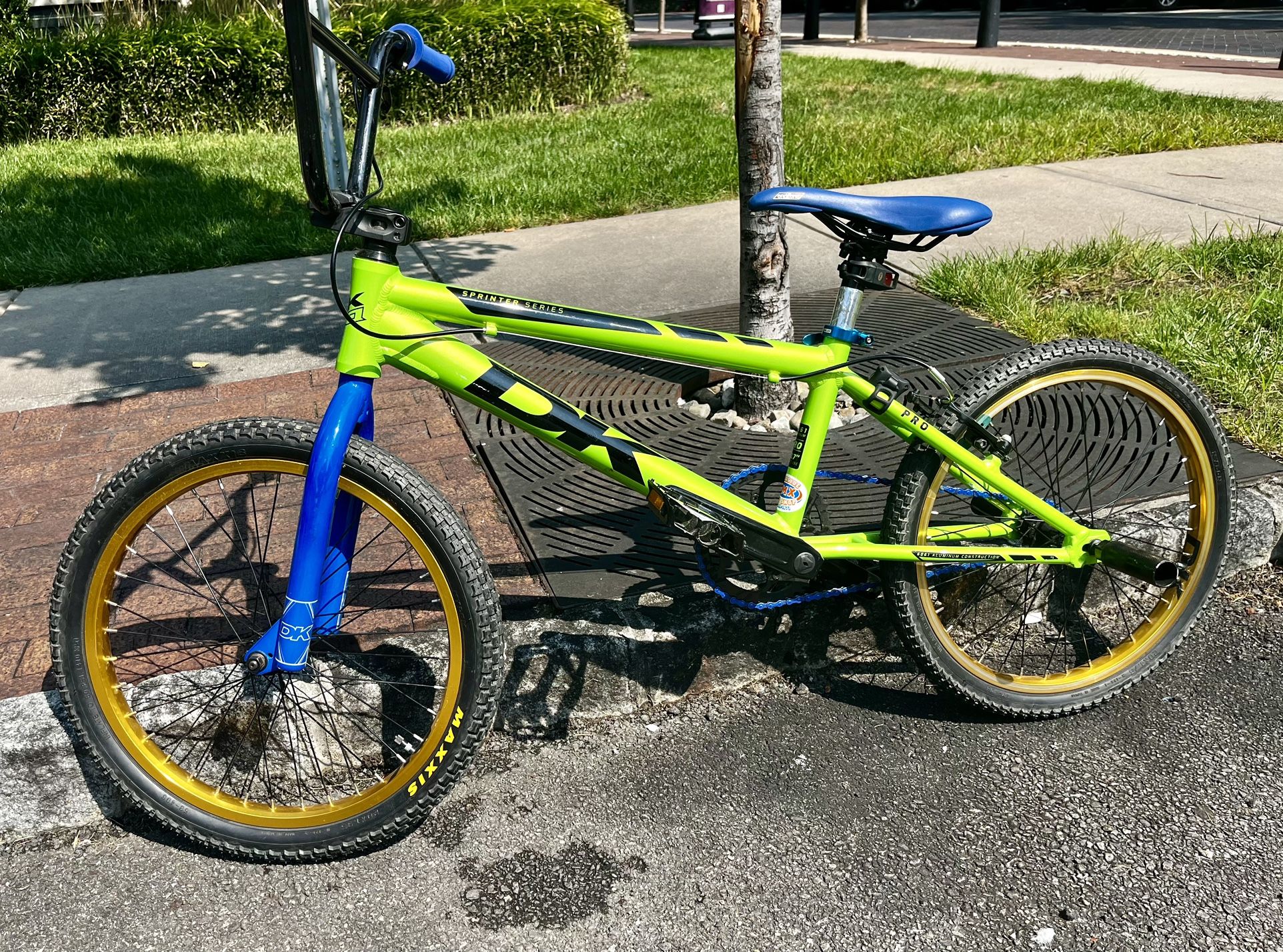 DK PRO BMX Bicycle (Custom, Ready To Ride) for Sale in New York