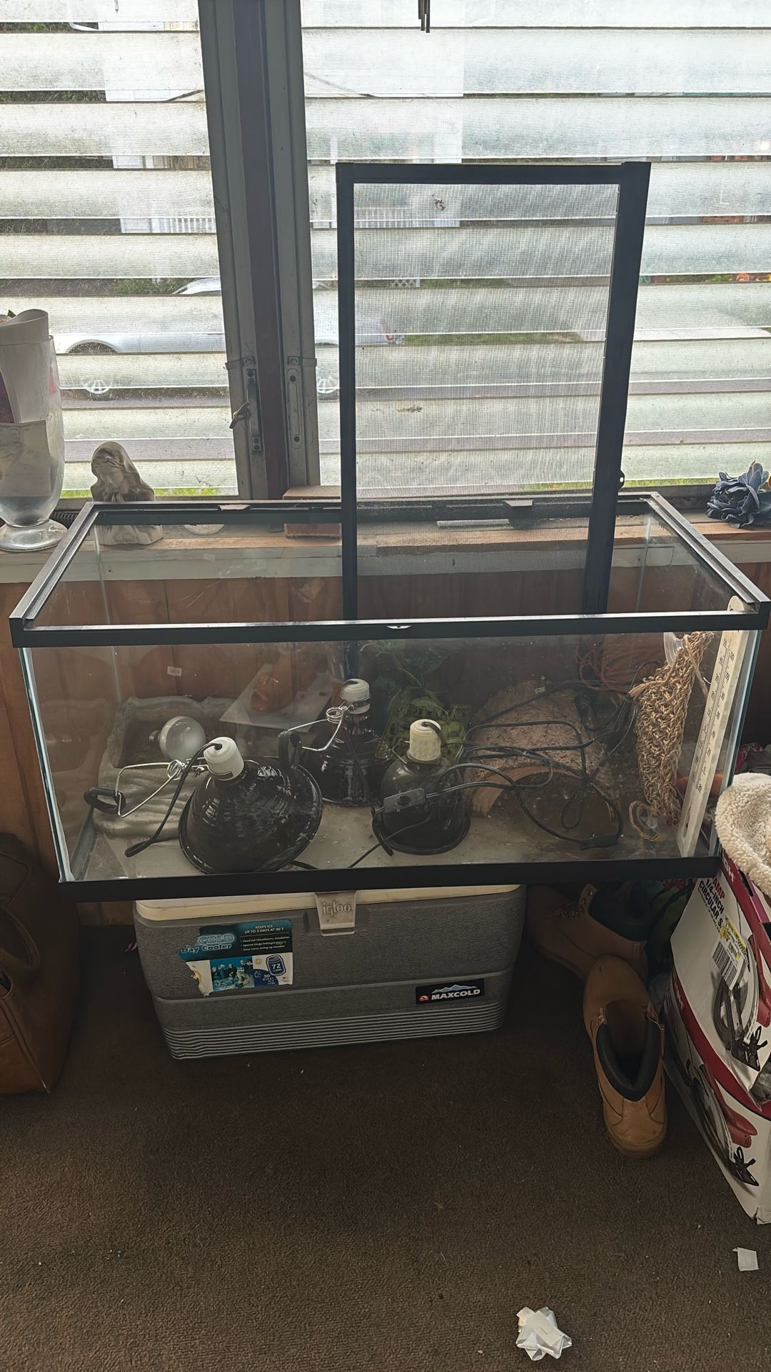 Reptile Tank