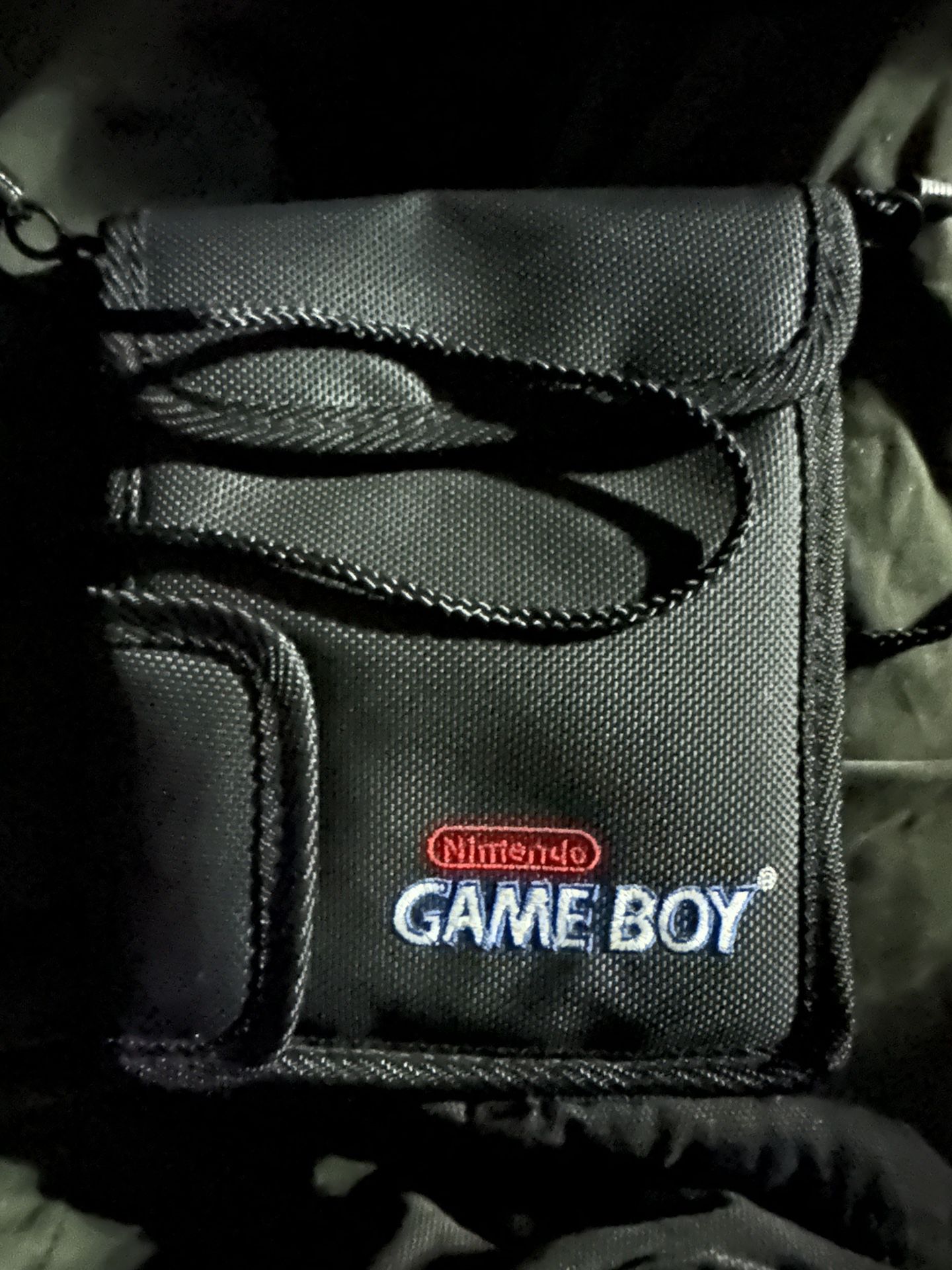 Game boy case 