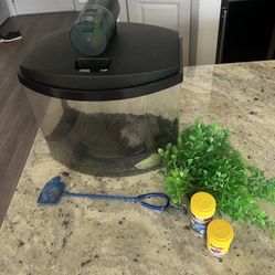 5 Gallon Fish Tank