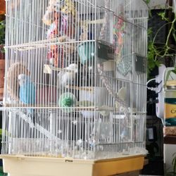 Large Bird Cage, Acessories And Birds
