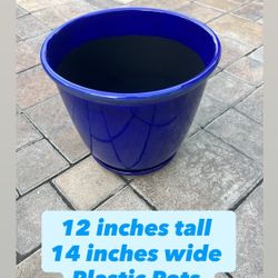 Flower Pots 