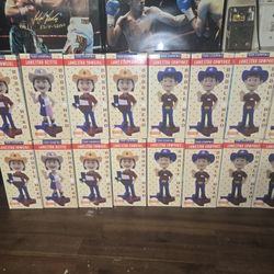 16 Texas Essentials Bobbleheads Lonestar Cowgirl & Cowpoke All For $20 