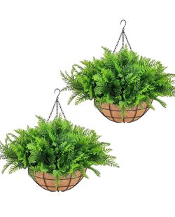 Plant Decor
