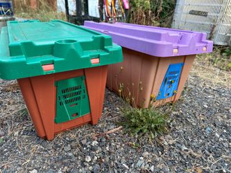 Hive bee boxes