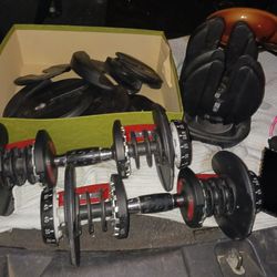 BOWFLEX complete Set Dumbells An All Weights An 1 Stand Only 99 Firm Paid Over500+