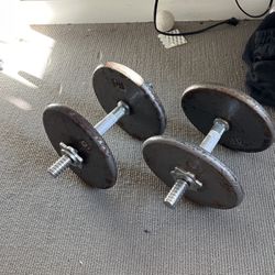 20lb Weights 