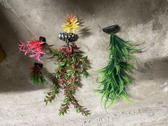 Fish Tank Accessory
