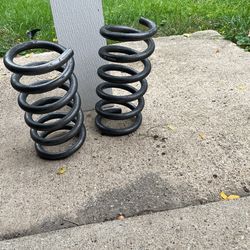 Coil Springs