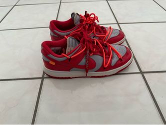 Nike off white dunks