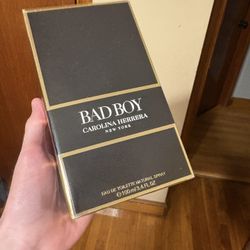 Bad Boy Cologne 