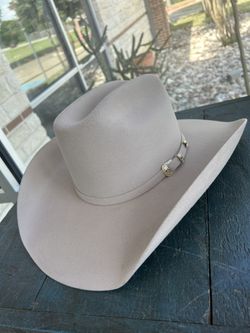 Texana Chihuahua  100X