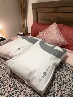 Sleep Number Pillows in Storage Bags