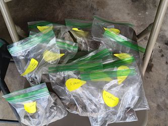 Monedas Antiguas Mexicanas 5x1 dolar