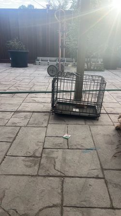 Cage for animals