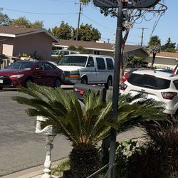 Basketball Hoop—free free free free free