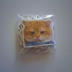 Cats 49 Piece Stickers 