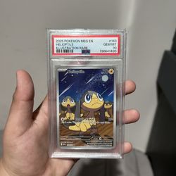 Helioptile Mega Evolution Pokemon 