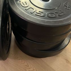 45 Lbs Plates 